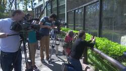 Argentine orangutan Sandra on to new life in US News Clip