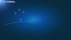 EU trade deal with South American countries 'suicide' without environmental clauses, says MEP News Clip