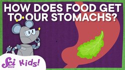 How Does Food Get to Our Stomachs and More Answers to Your Questions! | SciShow Kids Instructional Video