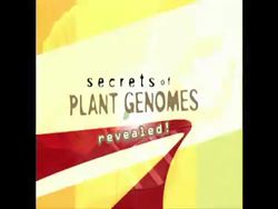 The Mission of the Office of Legislative and Public Affairs Instructional Video