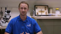 How to Find a Good Bed Bug Exterminator Instructional Video