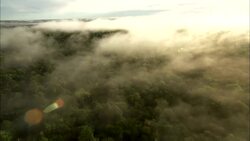 How the Amazon has started to heat the planet Instructional Video