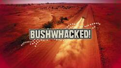 How to Fly Like a Sea Eagle Instructional Video