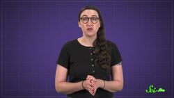 Raccoons Don’t Really Wash Their Food Instructional Video