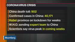 China Reports 908 Deaths from Coronavirus News Clip