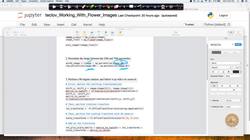 Evaluate the impact of an AI application used in the real world. (case study) : Working with Flower Images: Case Study - Part 7 Instructional Video