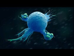 Macrophages: The Destroyers Instructional Video