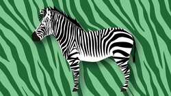 I WONDER - Are There Different Types Of Zebras? Instructional Video