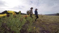 Elusive Lagoon Mouse Instructional Video