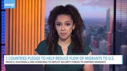3 Countries Pledge To Help Reduce Flow Of Migrants To U.S. News Clip