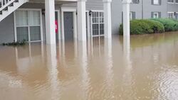 ‘I never expected this’: Flooding from Helene hits parts of Georgia, N.C. DESC News Clip