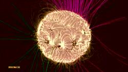 Understanding the Magnetic Sun Instructional Video