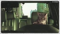 Good News | From carts to maglevs: the dramatic evolution of transport News Clip