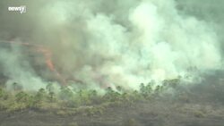 G-7 Leaders Promise To Send $22 Million In Aid To The Amazon News Clip