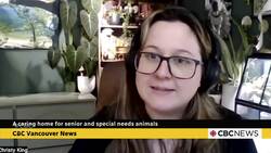 A caring home for senior and special needs animals News Clip