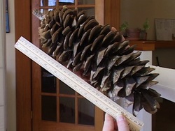 Mediciones: resumiendo Instructional Video