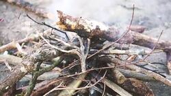 Beautiful red fire Stock Footage