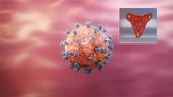 What is known so far about new COVID-19 variant omicron Instructional Video