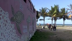 VOICED : Niños y ambientalistas liberan crías de tortuga en Venezuela para crear conciencia News Clip