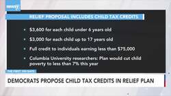 Democrats Propose Child Tax Credits In Relief Plan News Clip