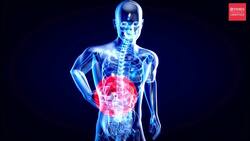 World Liver Day 2024: Expert answers frequently asked questions News Clip