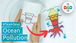 Save the Ocean Activity Instructional Video