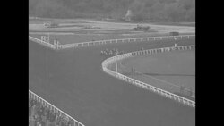 Goldeneye wins the 1936 Christmas Stakes race at Santa Anita racetrack in Arcadia, CA News Clip