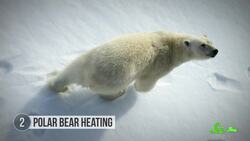 5 Ways Biology Is Transforming Buildings Instructional Video