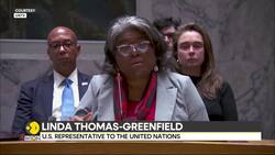 Israel-Hamas War: Over 20 Killed In Aid-Looter Operation In Gaza News Clip