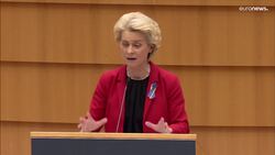 Brussels aims to coordinate gas purchases in bid to lower costs News Clip