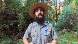 Acadia National Park - Park Mystery Video #1 Instructional Video