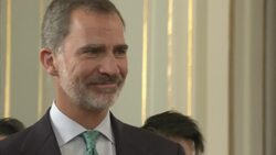 Japanese PM welcomes Spain's king to Tokyo Instructional Video