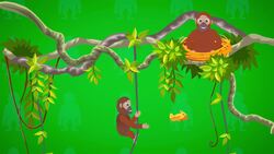 I WONDER - Where Do Orangutans Sleep? Me Pregunto - Dónde Duermen Los Orangutanes? Instructional Video