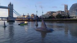 Huge shark fins filmed floating in River Thames in movie stunt Instructional Video