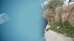 The World of Dung Beetles is Absolutely Wild Instructional Video