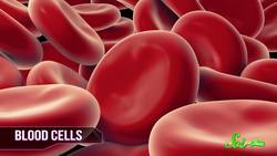 What are Blood Types? Instructional Video