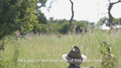 Going Wild - Hippos, Zebra and Baby Giraffes Instructional Video