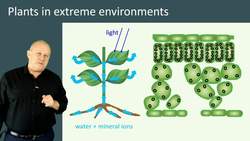 Plants in Extreme Environments: Adaptations for Survival Instructional Video