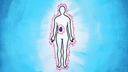 TED-Ed: How does chemotherapy work? | Hyunsoo Joshua No Instructional Video