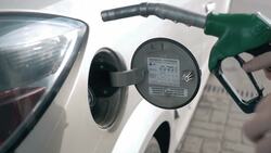 The Sixth Extinction: Human Impact on Earth's Biodiversity Instructional Video