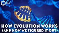How Evolution Works (And How We Figured It Out) Instructional Video