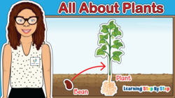 How Do Seeds Become Plants? Instructional Video