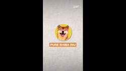 DON'T APPROPRIATE SHIBAS INUS | EXPLAINS News Clip
