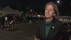 Dr Gail Bradbrook Interview News Clip