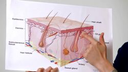 How to Prevent Clogged Pores Instructional Video