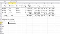 How to Understand Formulas & Functions in Excel Instructional Video