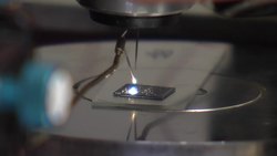 As fast as their tiny bot legs will carry them! Instructional Video