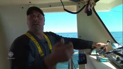 Lobster season takes hit to protect North Atlantic right whale News Clip
