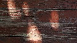 Old sharp table tree shadow autumn garden hd footage Stock Footage