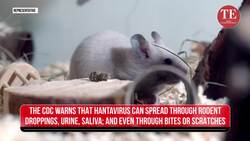 DEADLY Pattern EMERGES After Gene Hackman’s Wife Betsy’s TRAGIC End; Tragedy REPEATS in California News Clip